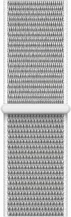 Silver seashell sale sport loop